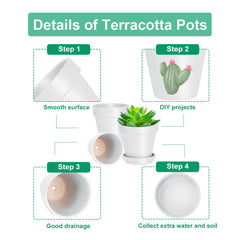vensovo 4 Inch White Terracotta Plant Pot filled with succulent