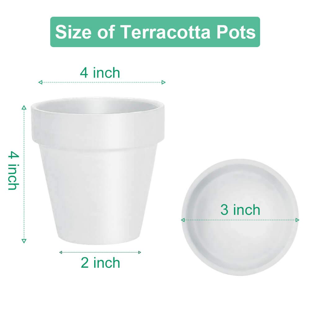 vensovo 4 Inch White Terracotta Plant Pots arranged together