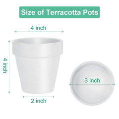 vensovo 4 Inch White Terracotta Plant Pots arranged together