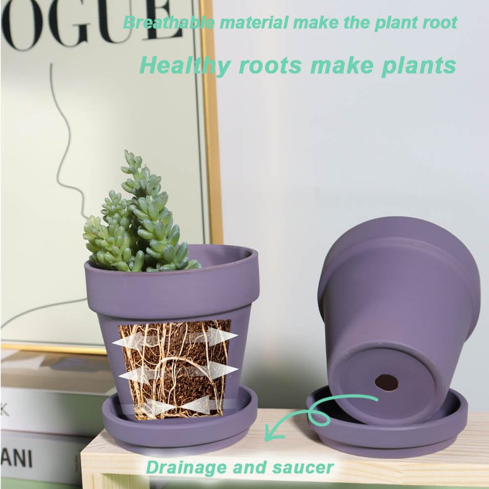 vensovo 6 Inch Purple Terracotta Pot close-up