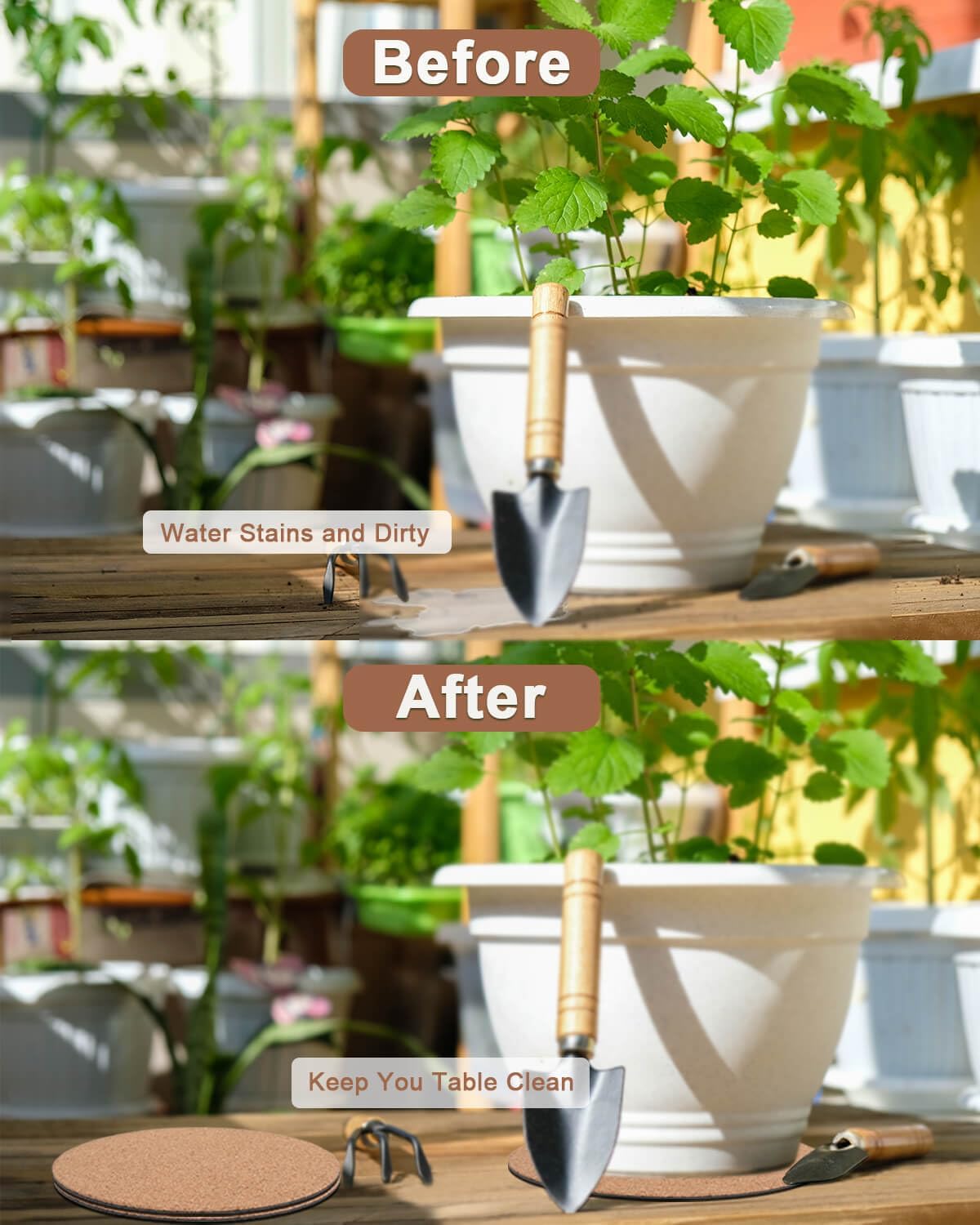 vensovo cork plant coasters on a wooden table