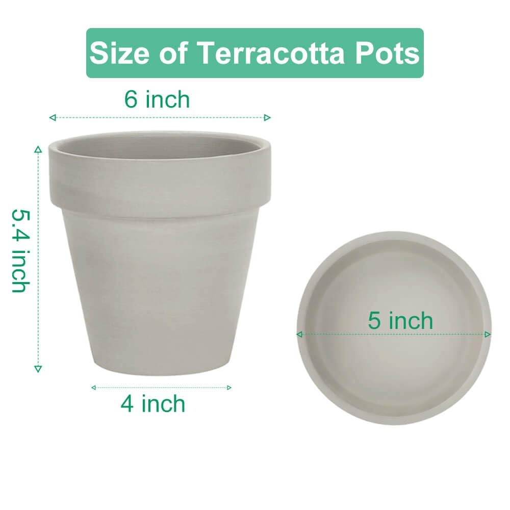 vensovo terracotta pot with saucer