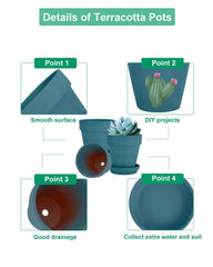 vensovo terracotta pot with succulent inside