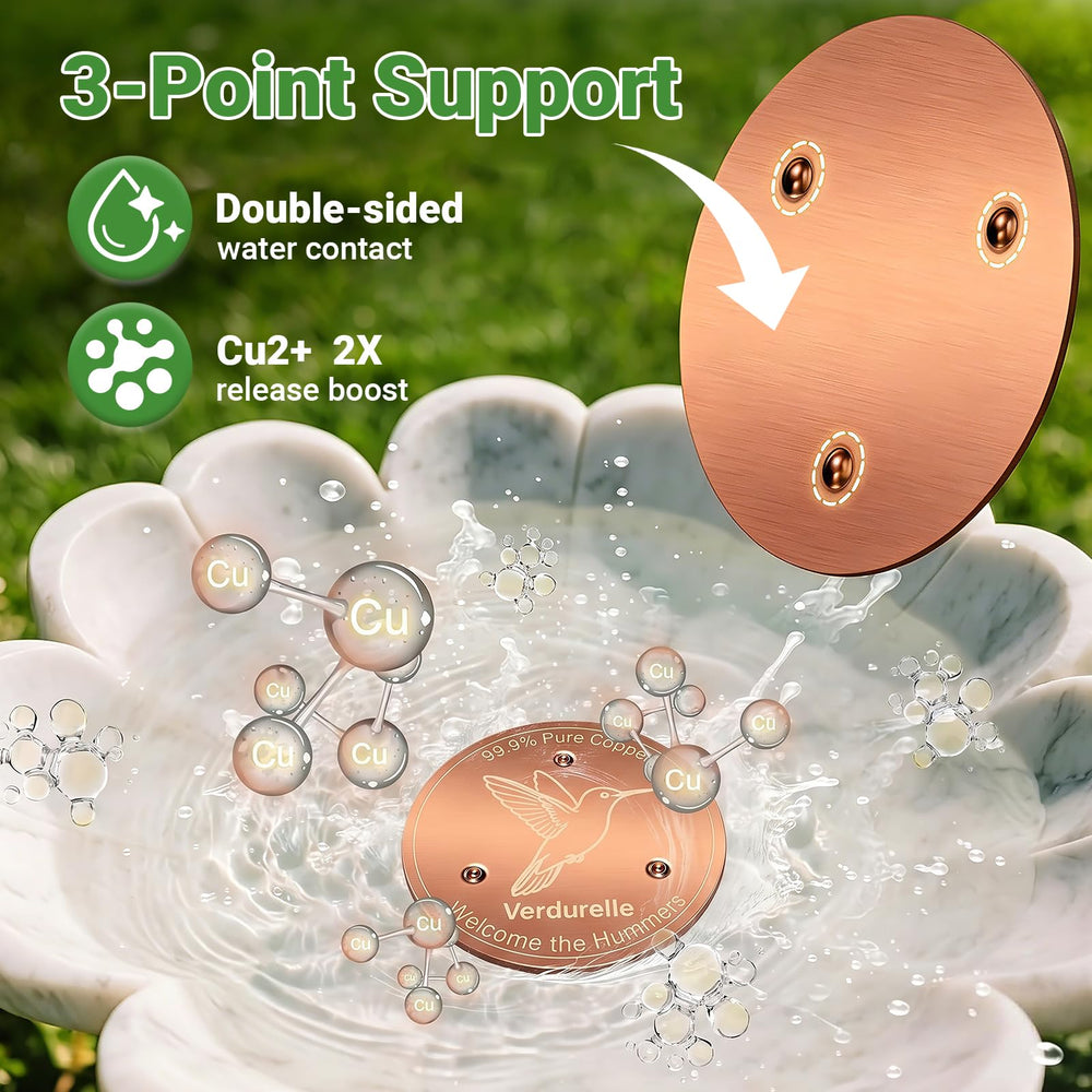 Verdurelle copper disc in a bird bath with water