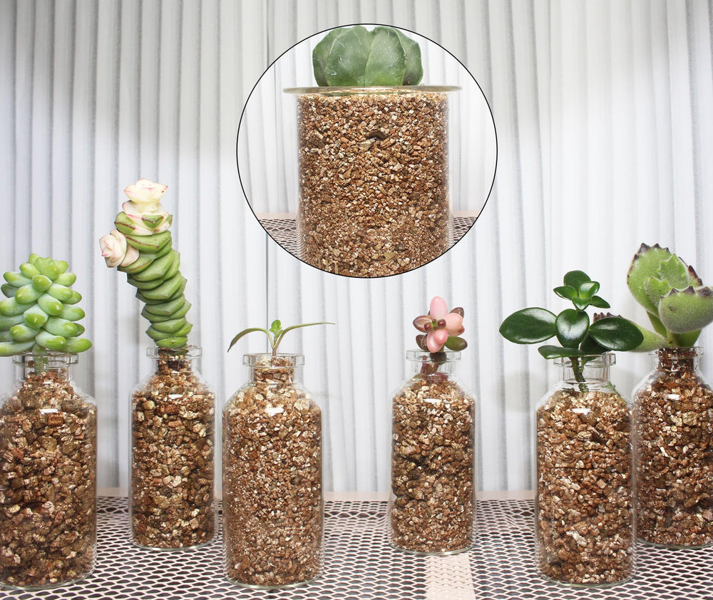 Vermiculite poured into a pot for plant growth