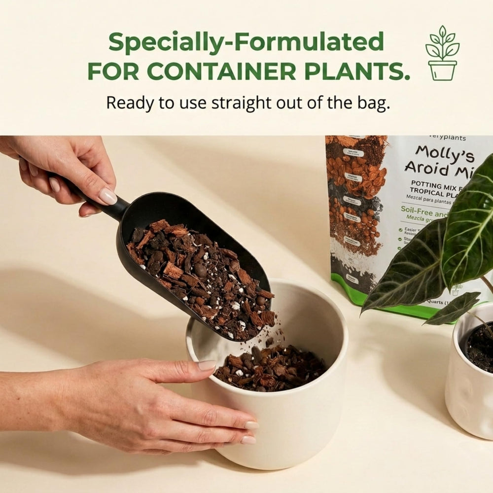 veryplants Molly's Aroid Potting Mix resealable bag