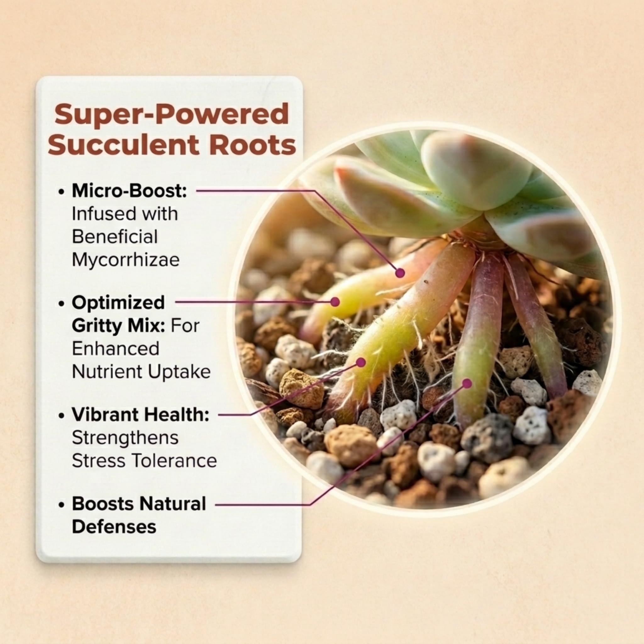 veryplants Molly's Succulent Mix ingredients list on packaging