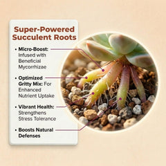 veryplants Molly's Succulent Mix ingredients list on packaging