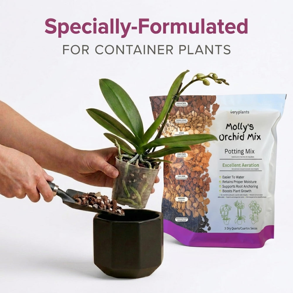 veryplants Orchid Potting Mix being poured into a pot