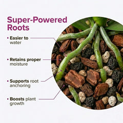 veryplants Orchid Potting Mix in a pot with orchids
