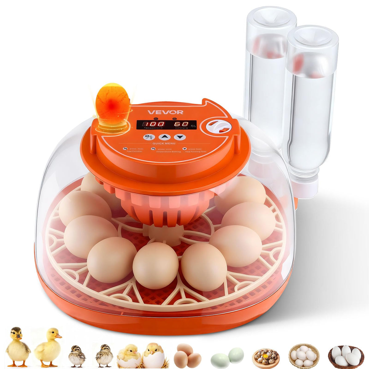 VEVOR 12 Egg Incubator front view with transparent cover