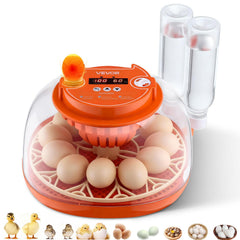 VEVOR 12 Egg Incubator front view with transparent cover