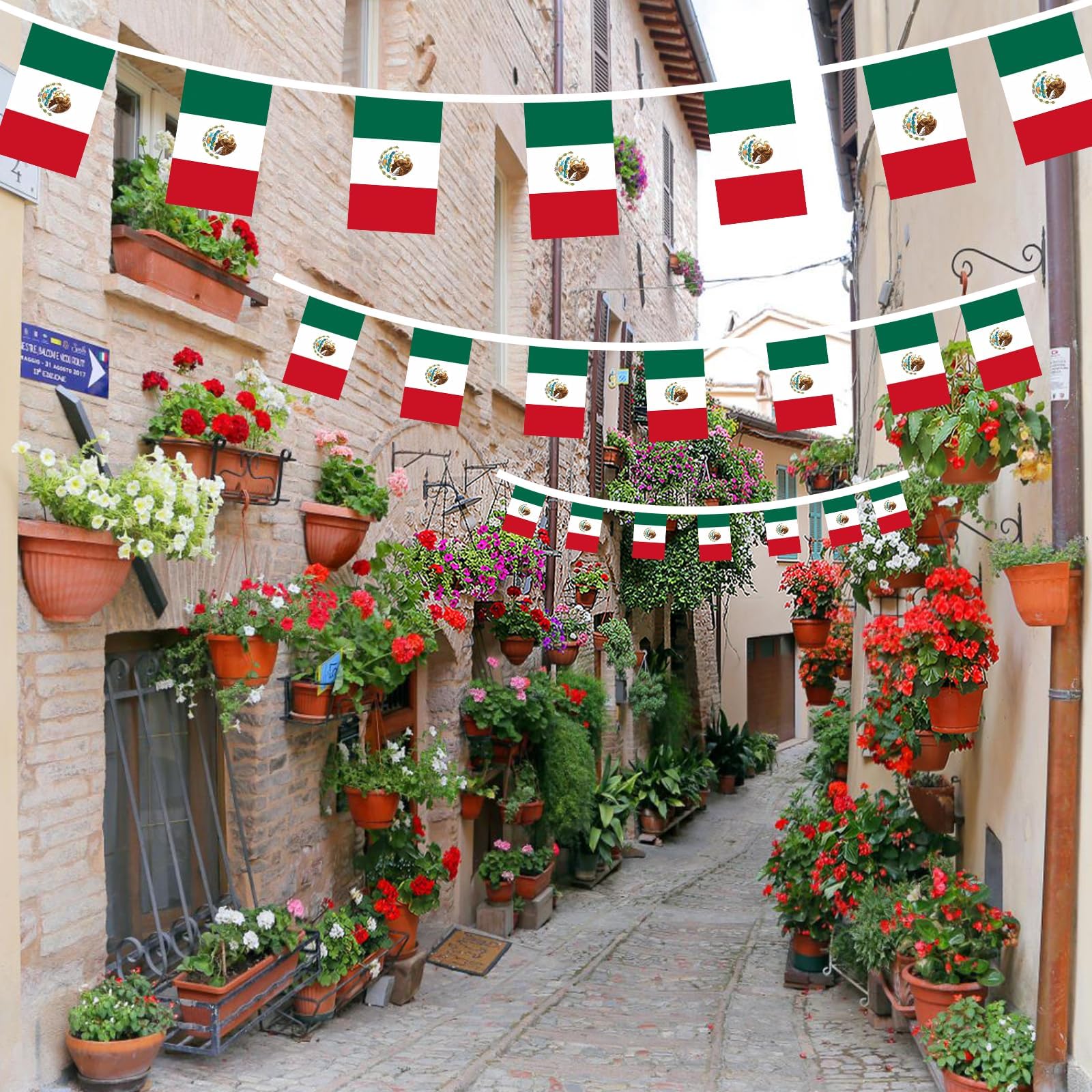 Vibrant AhfuLife Mexico flags hanging in a garden