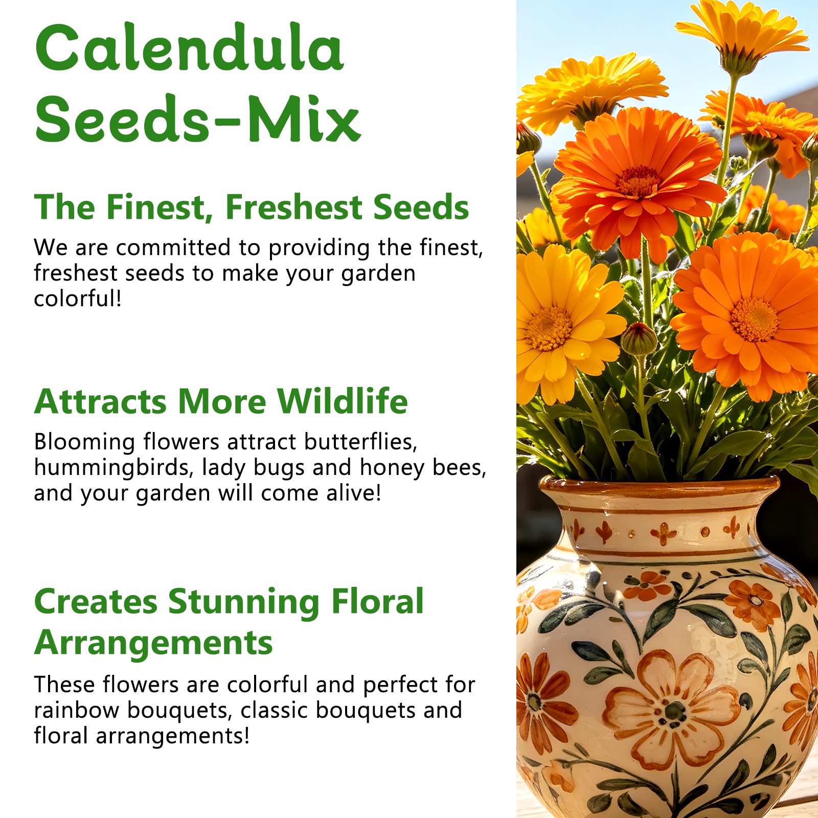 Vibrant Calendula flowers blooming in a garden setting