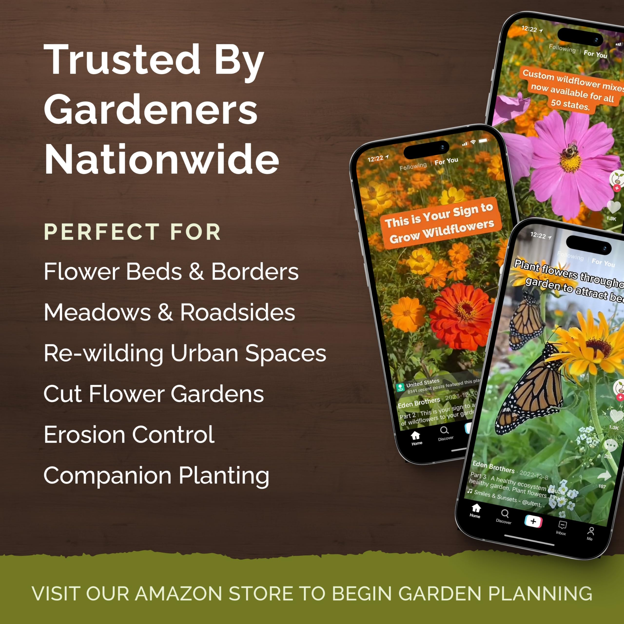 Vibrant wildflowers blooming in a garden