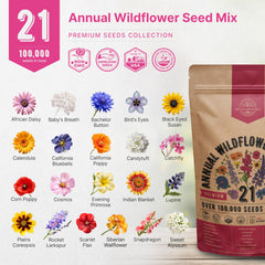 Vibrant wildflowers growing outdoors from Organo Republic seeds