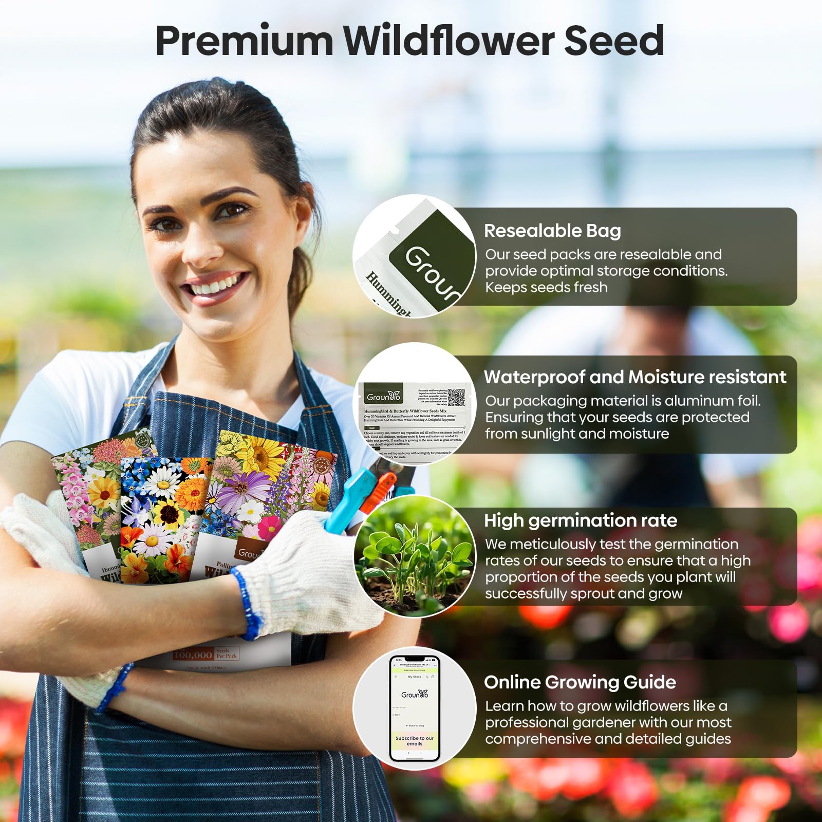 Vibrant wildflowers in bloom from Groundio seeds in a garden setting