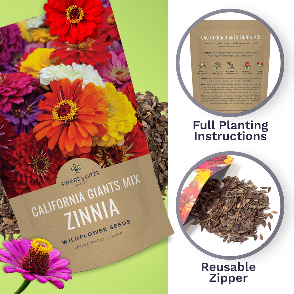 Vibrant Zinnia flowers grown from SWEET YARDS seeds in a garden