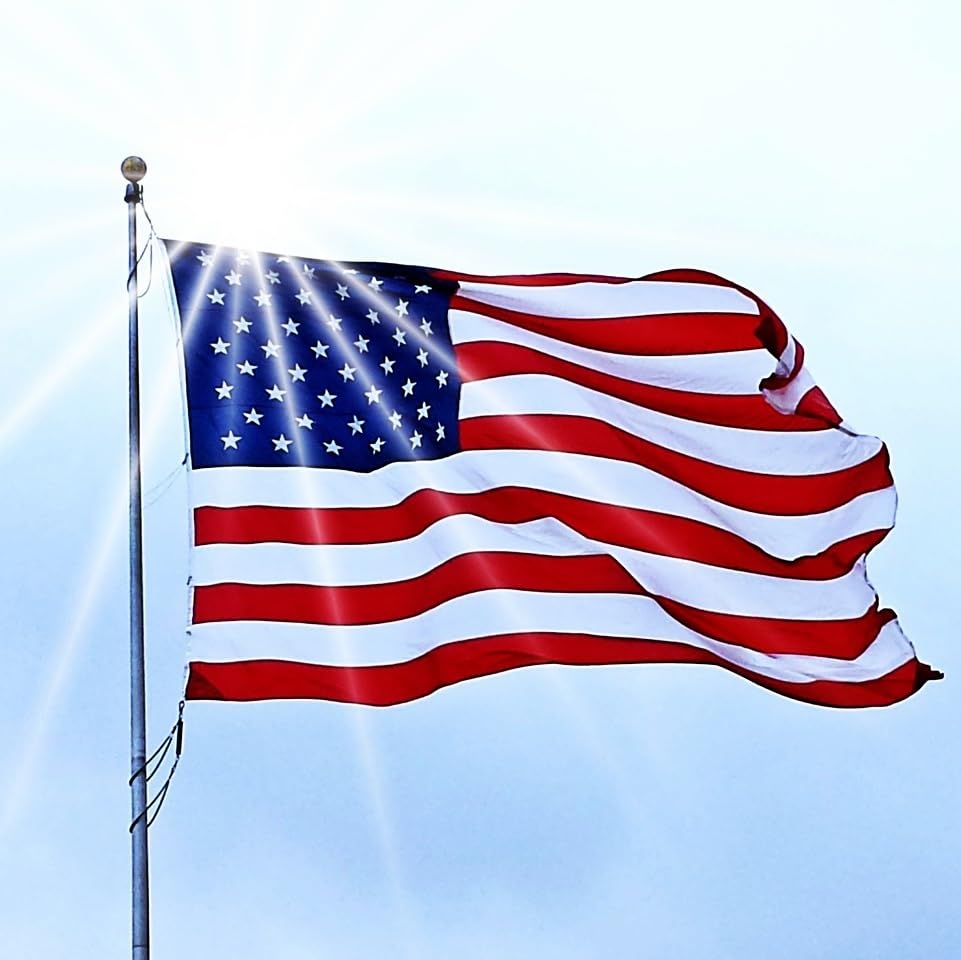 VICDRIA American Flag 4x6 ft in a garden display