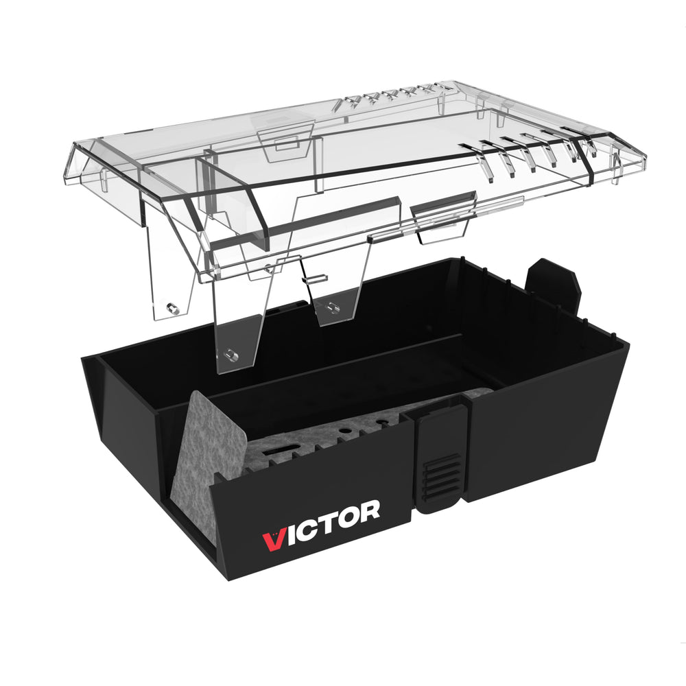 Victor Catch & Hold Mouse Trap on kitchen floor