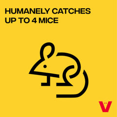 Victor Catch & Hold Mouse Trap showing rear door for release