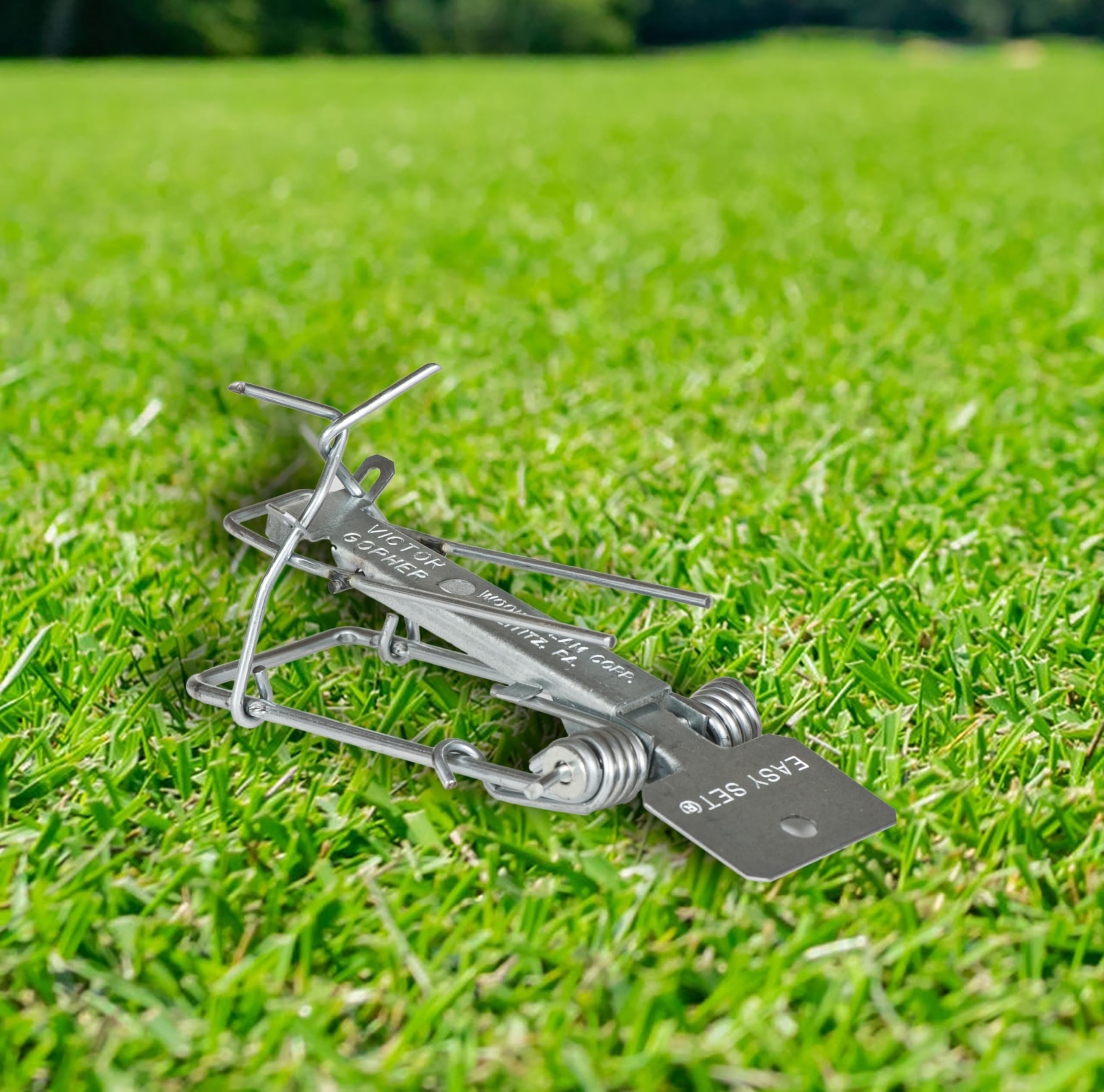 Victor Easy Set Gopher Trap displayed in garden setting