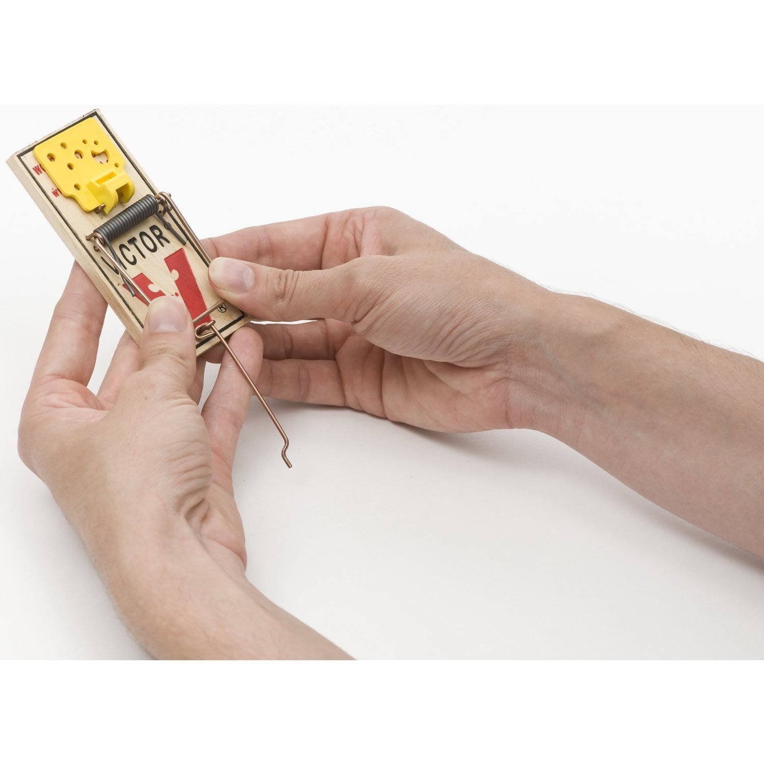 Victor Easy Set Mouse Trap outdoor placement