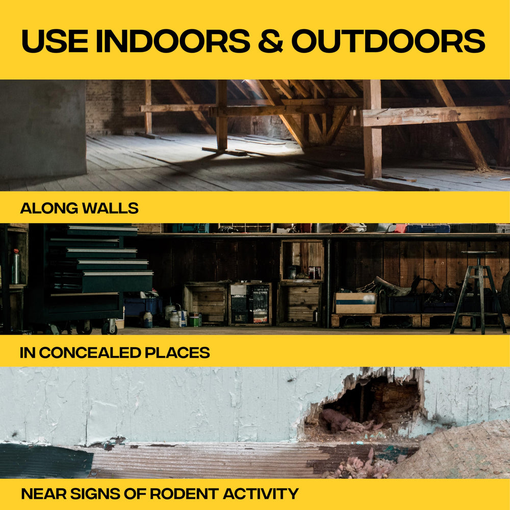 Victor Fast-Kill Bait Blocks II usage scenario in an attic