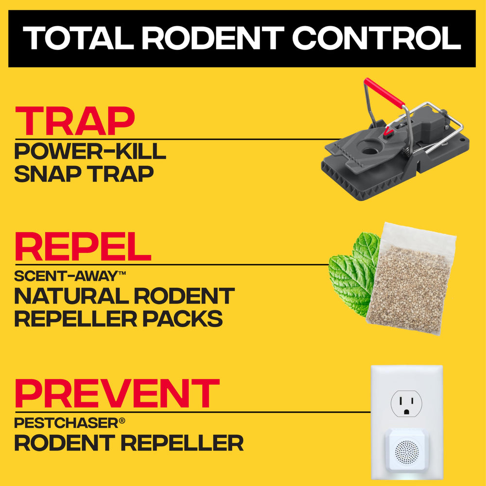 Victor M144B Rat Trap set up for use on a flat surface