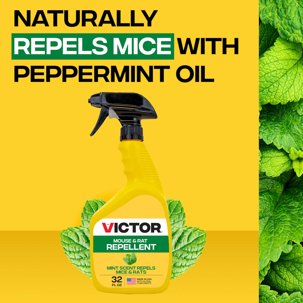 Victor Mouse and Rat Repellent Spray usage outdoors