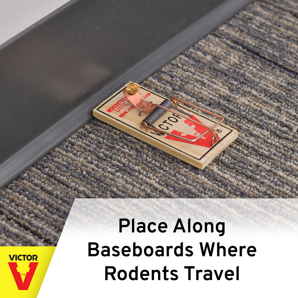 Victor Mouse Trap set in a household environment