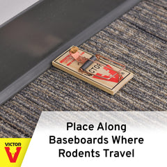 Victor Mouse Trap set in a household environment