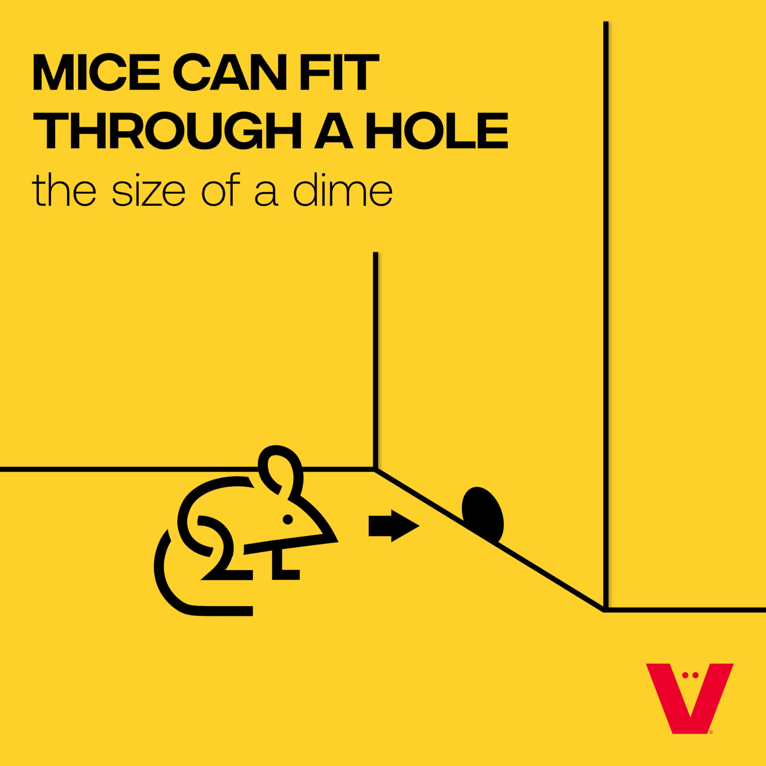 Victor Multi-Catch Mouse Trap being cleaned with water