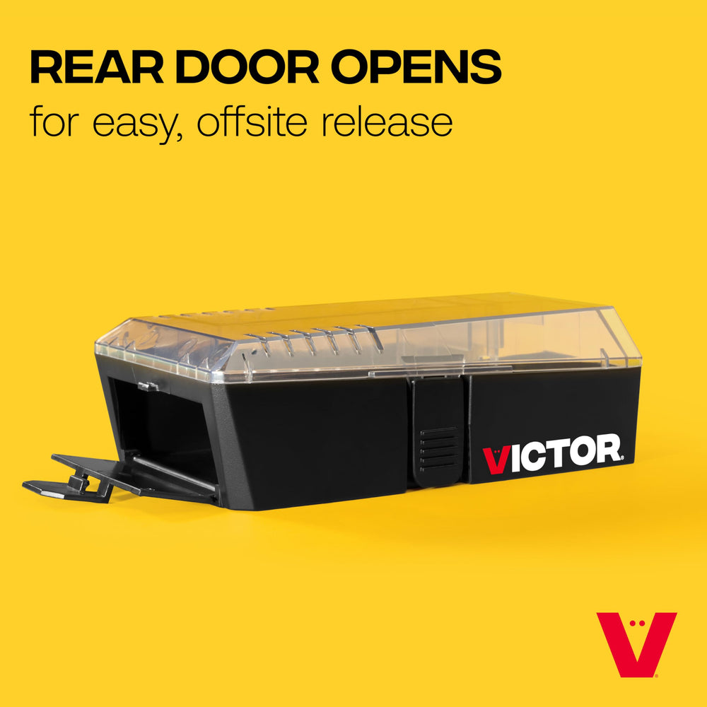 Victor Multi-Catch Mouse Trap showing multiple mice inside