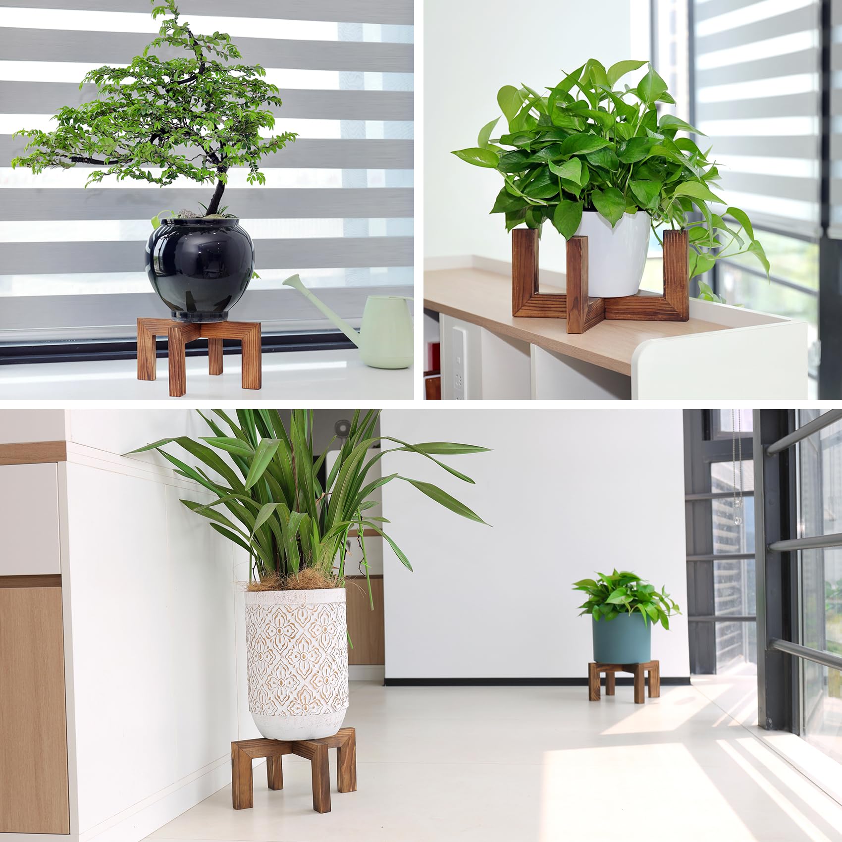Vigordream Plant Stand top view with plant pot
