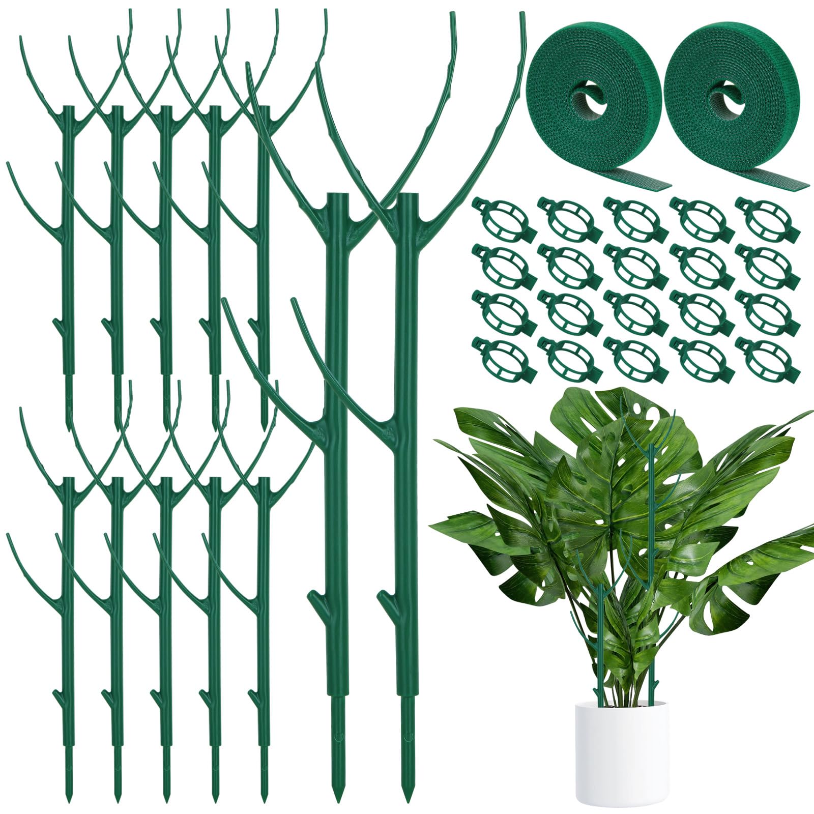 Vintrex 12 Pack Monstera Plant Support stakes with adjustable height