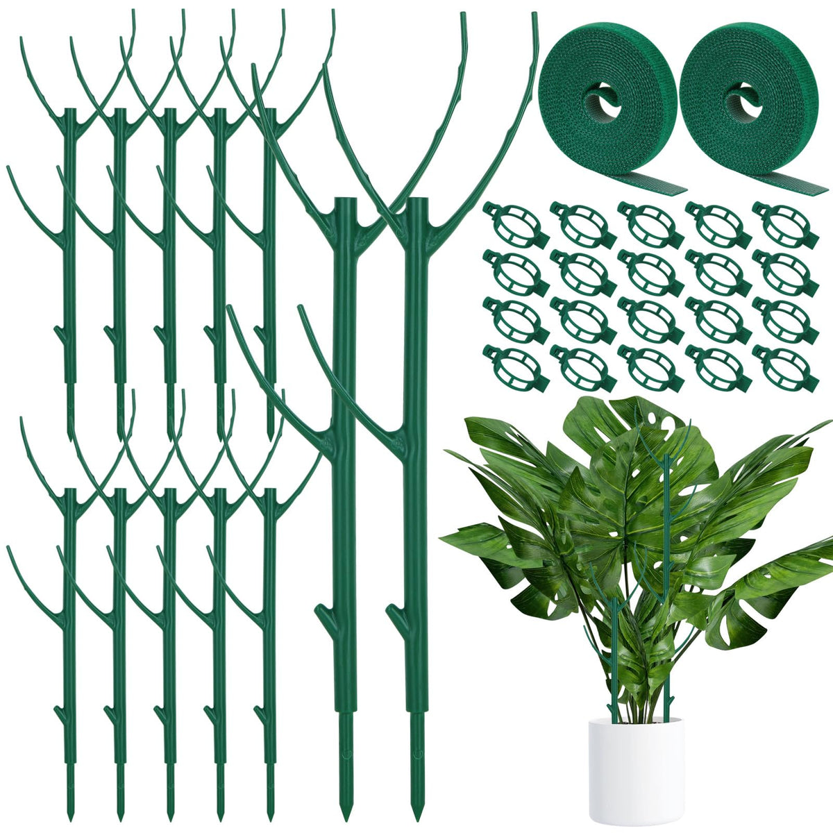 Vintrex 12 Pack Monstera Plant Support stakes with adjustable height