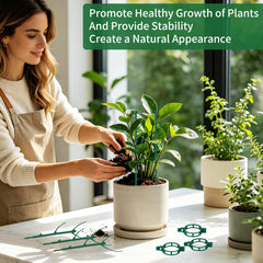 Vintrex adjustable plant stakes supporting climbing plants