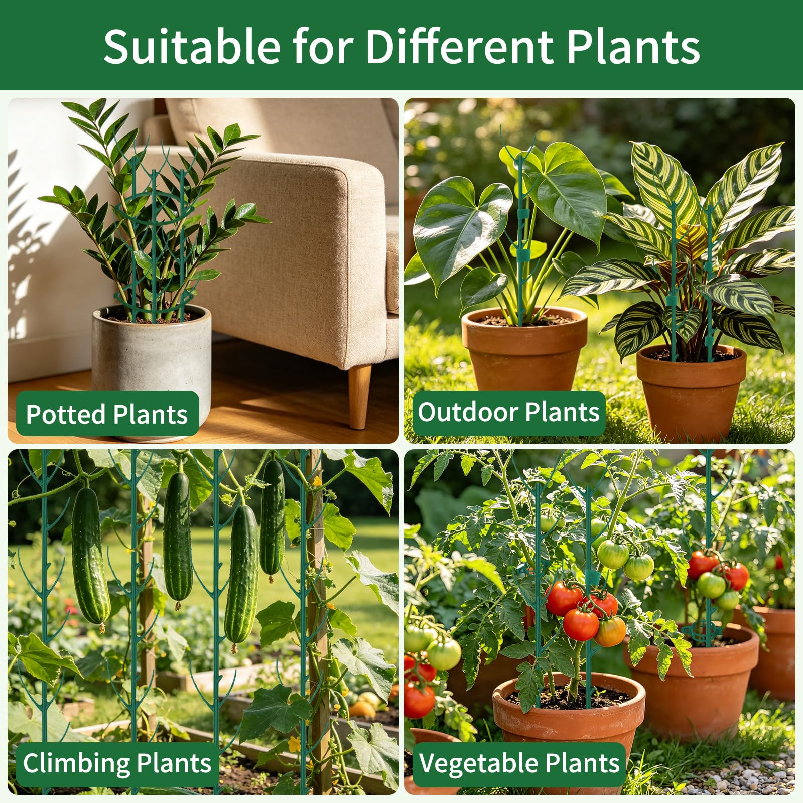 Vintrex plant supports arranged in a garden setting