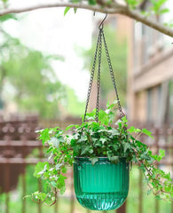 Visible water level feature of Melphoe hanging planter