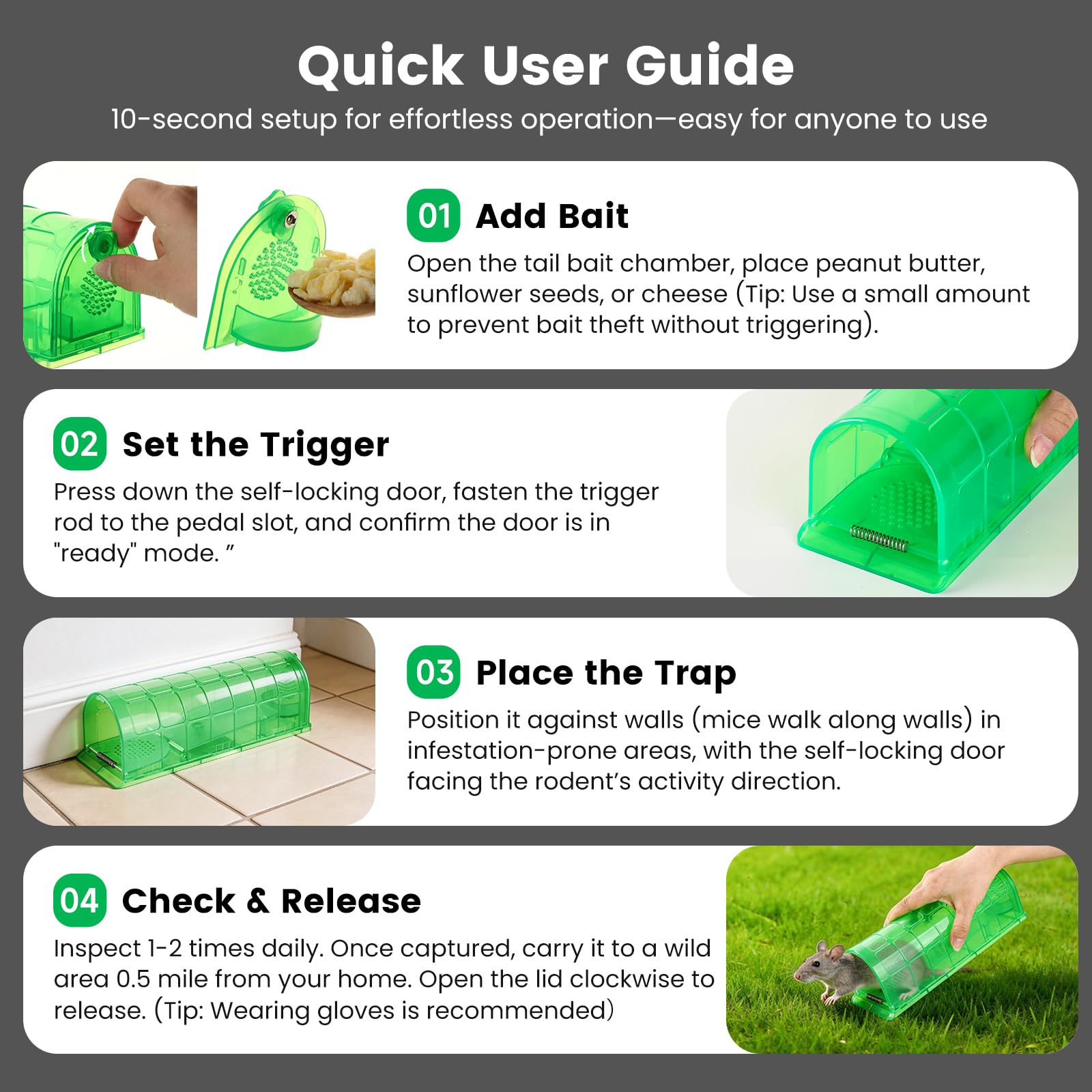 VisidgeB2C humane mouse trap dimensions displayed