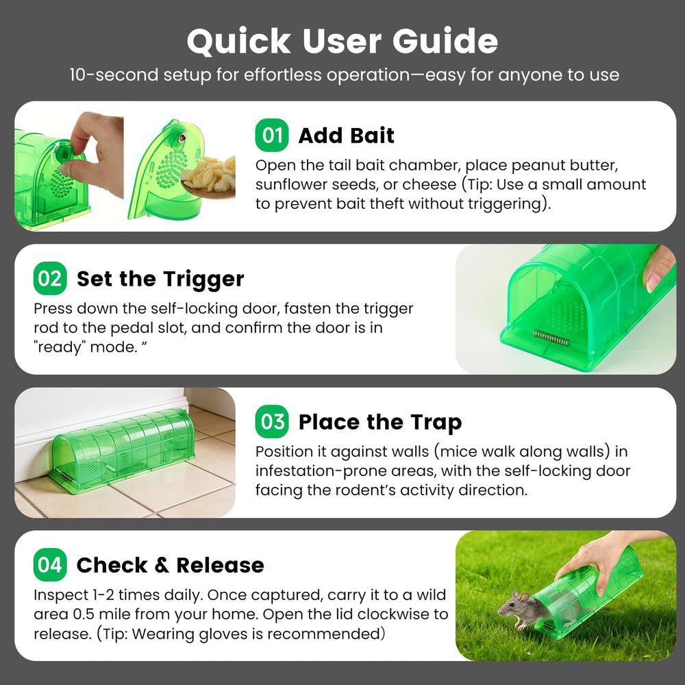 VisidgeB2C humane mouse trap dimensions displayed