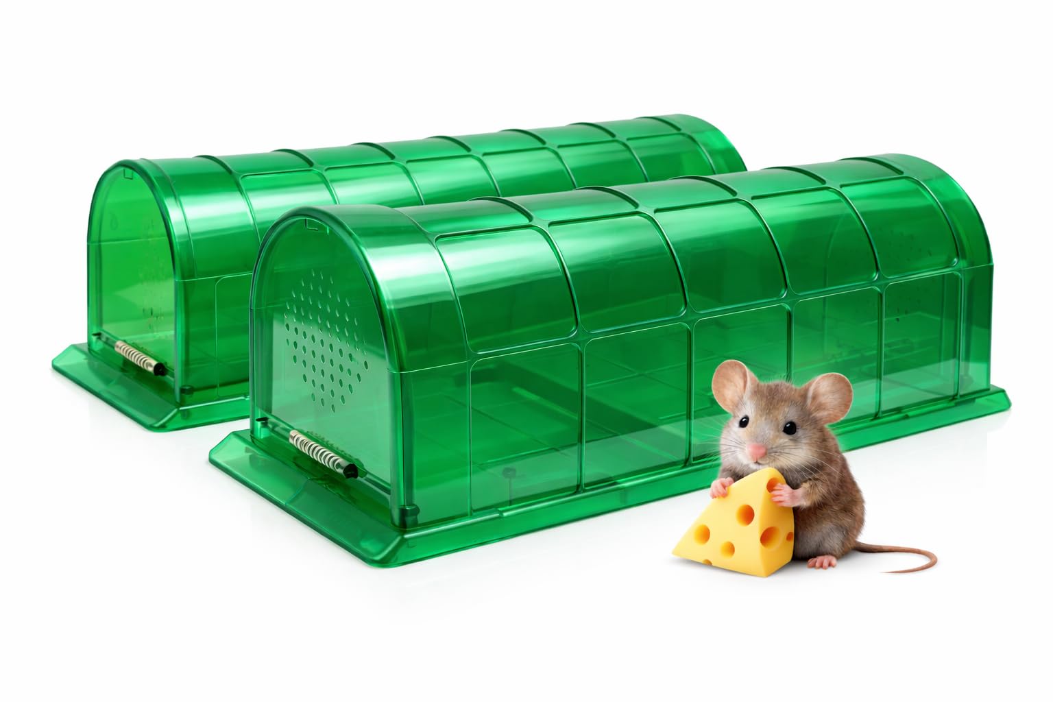 VisidgeB2C humane mouse trap green model front view
