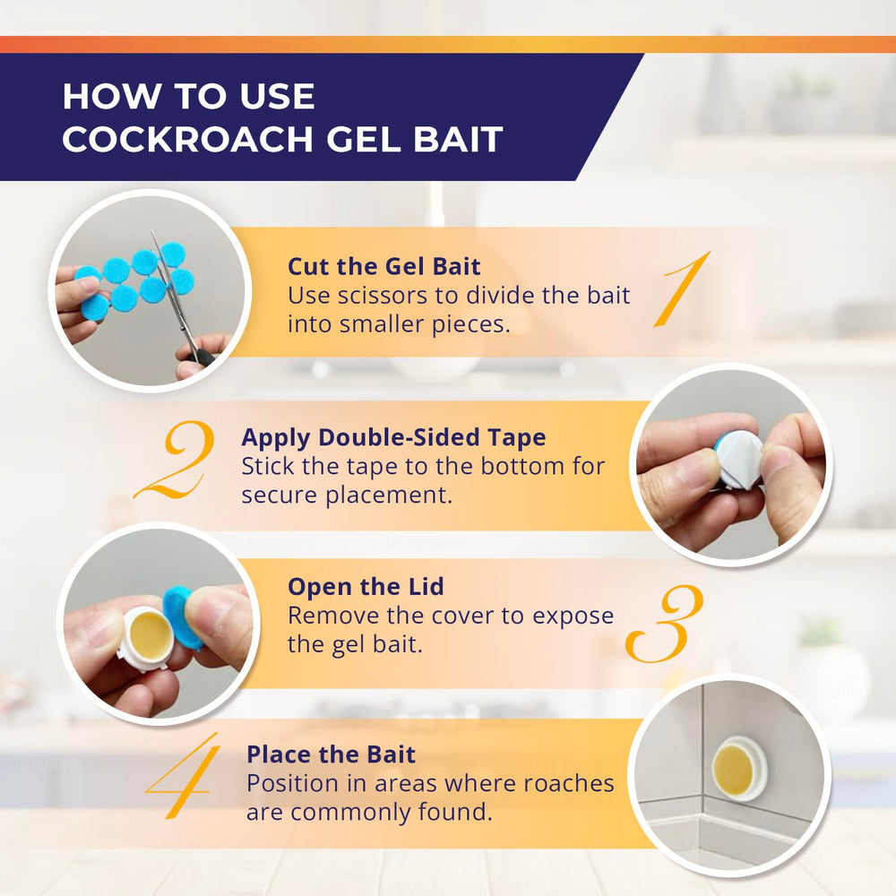 Visismile Cockroach Gel Bait outdoor application in a shed