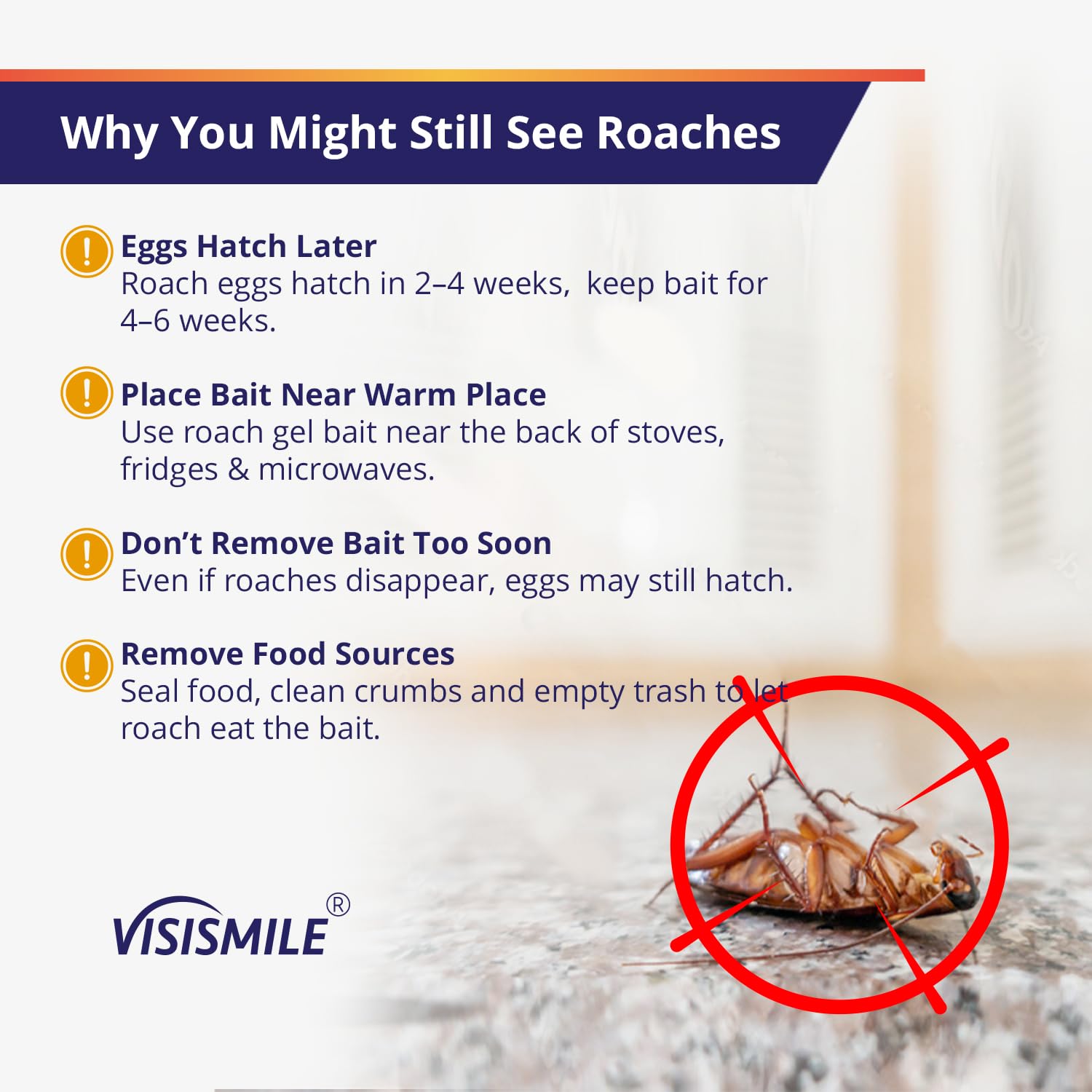 Visismile Cockroach Repellent Gel Bait close-up of gel consistency