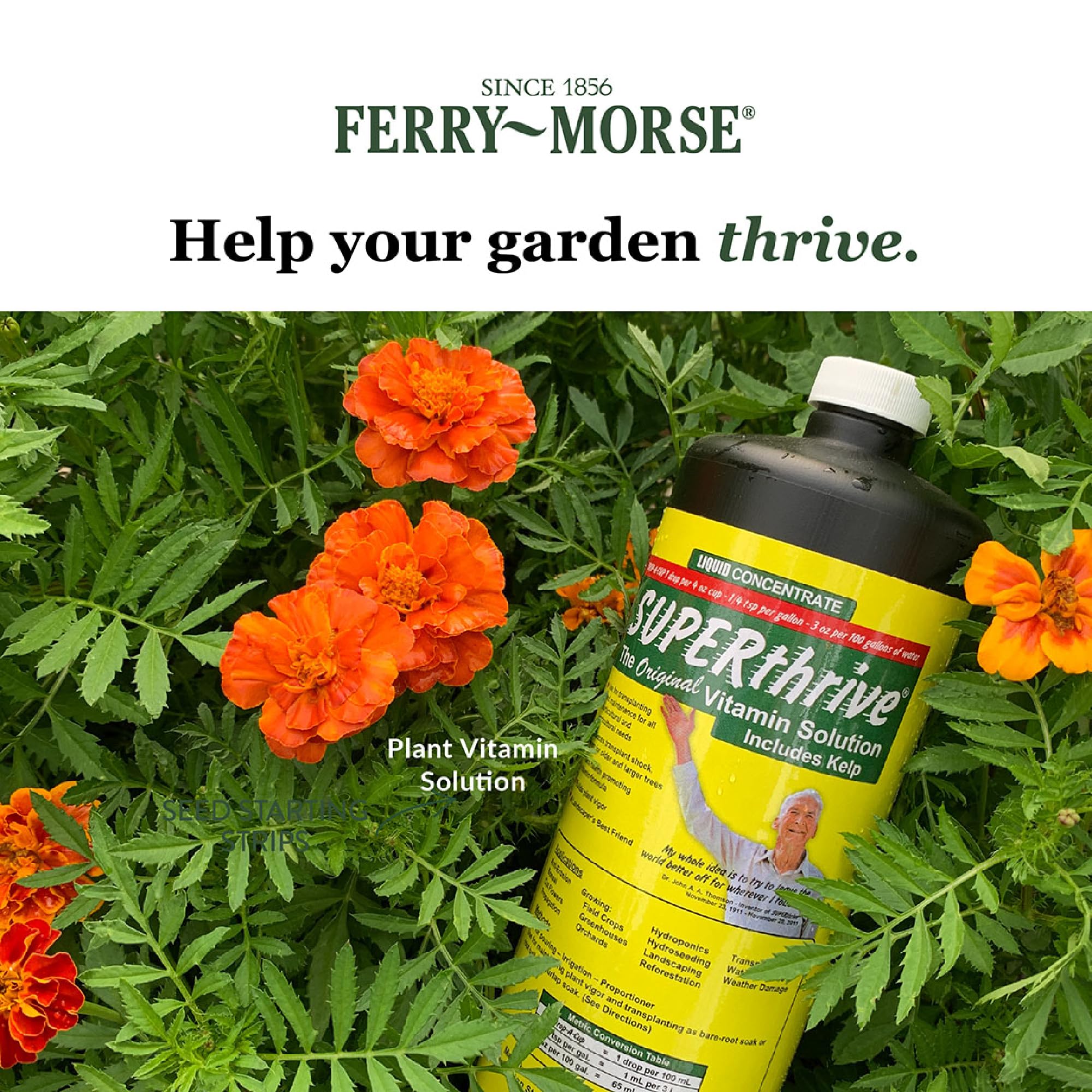 Vitamin Institute SUPERthrive Plant Vitamin Solution bottle on a garden table