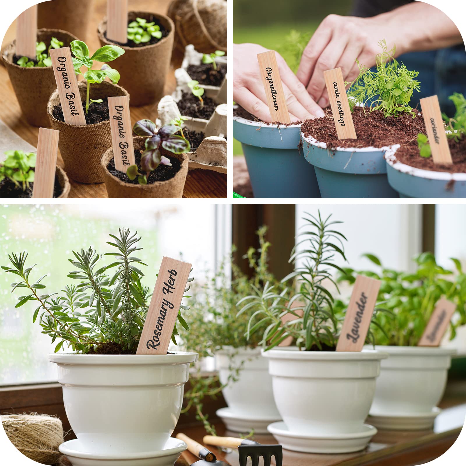 VITEVER plant labels used to mark different plants