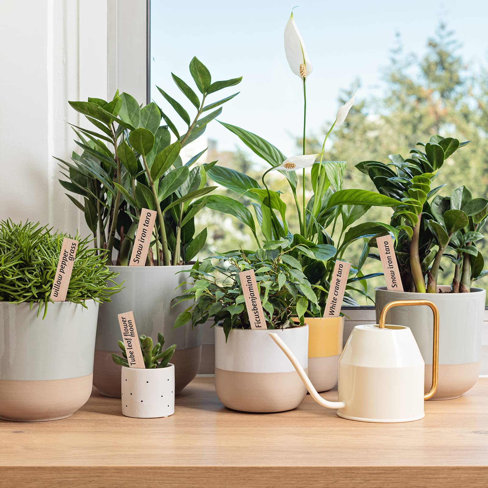VITEVER plant labels with natural wood pattern
