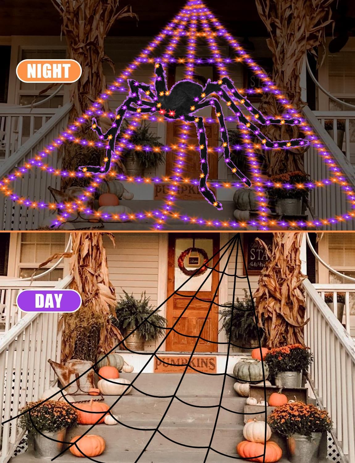 VITI Halloween lights showing vibrant purple orange colours