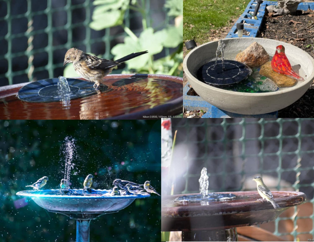 VIVII Solar Fountain Pump in a fish tank environment